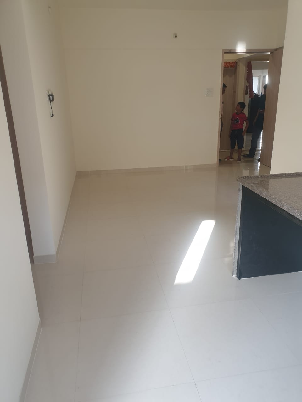 1 BHK Apartment For Rent in Silvanus Apartment