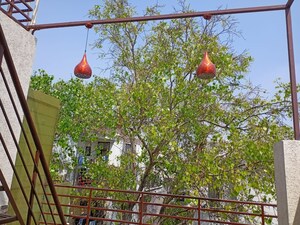 1 RK Builder Floor – Garden View at Khirki Extension - for Rent