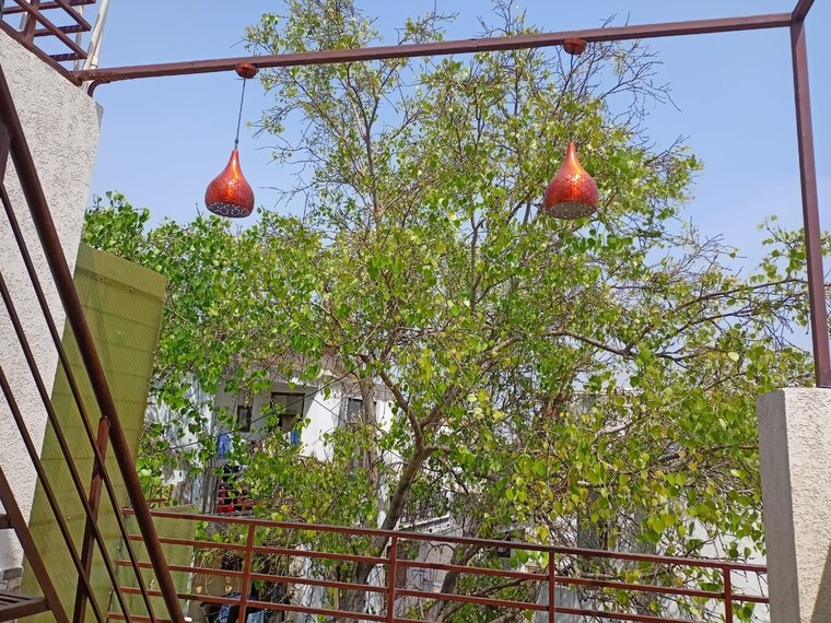 Garden, khirki extension 1 RK 300 Sq.Ft. Builder Floor In Khirki Extension Delhi 8709090