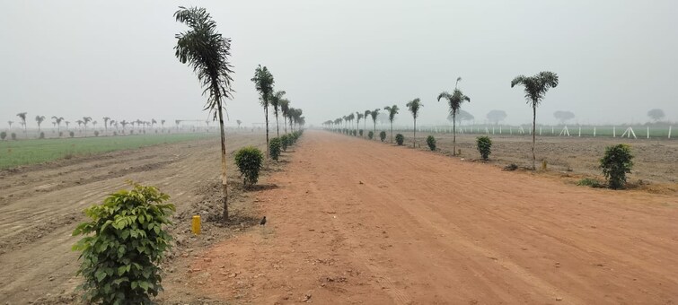 Cover Image, jewar  250 Sq.Yd. Plot In Jewar Greater Noida 8709155