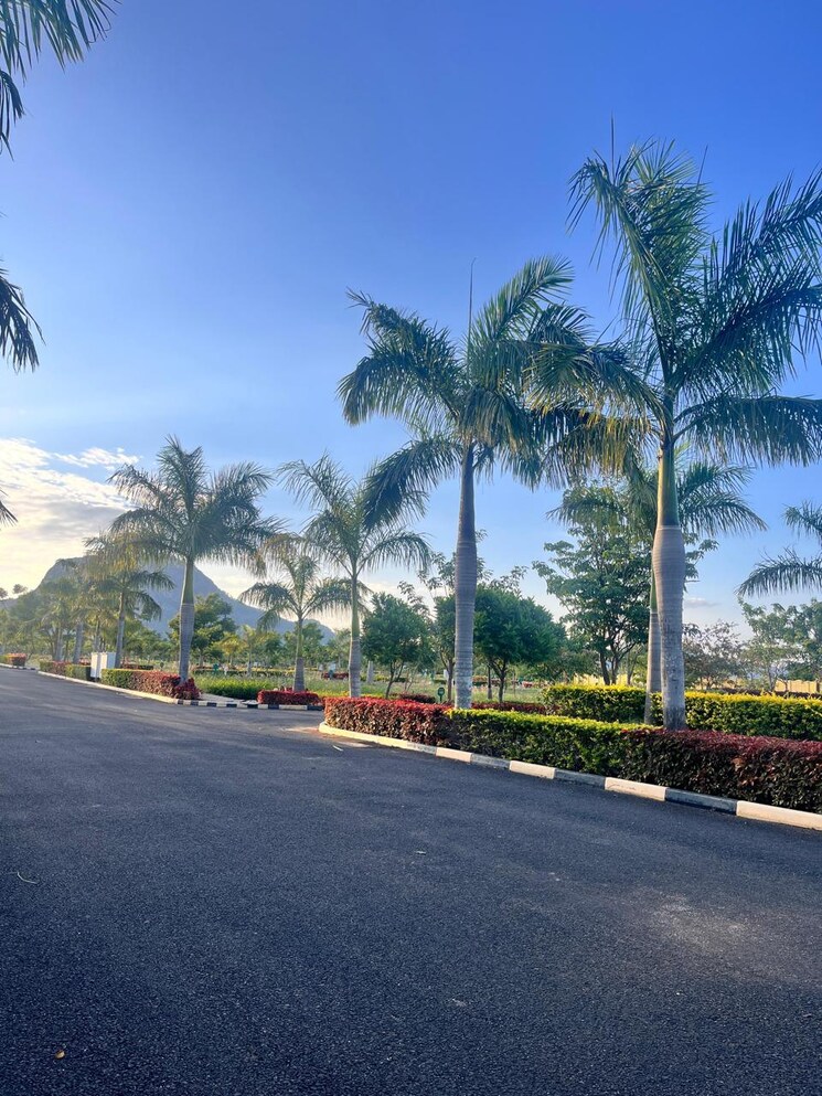 Exterior View, nandi hills  1200 Sq.Ft. Plot In Nandi Hills Bangalore 8709146