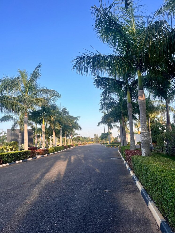 Exterior View, nandi hills  1200 Sq.Ft. Plot In Nandi Hills Bangalore 8709235