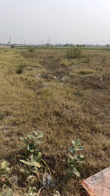 Plot Area in  Industrial Plot at Kutani – for Sale