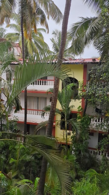 1 BHK Apartment – Exterior View View at Arpora - for Rent