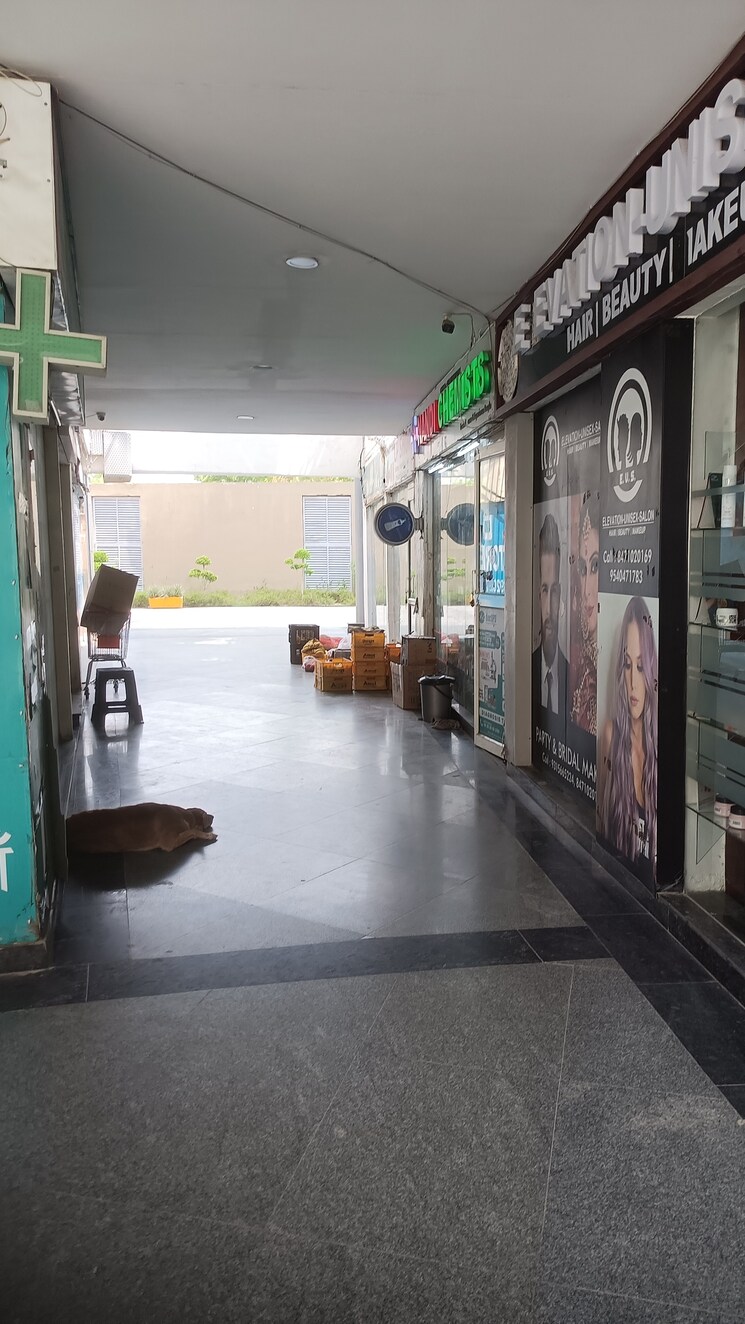 Gym, the-3c-lotus-panache 4 Bedroom 2794 Sq.Ft. Apartment In Sector 110 Noida 8709745