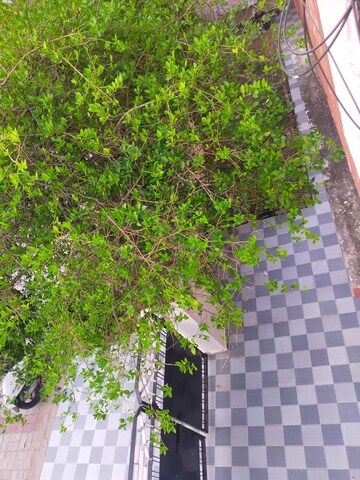 Balcony in 2 BHK Independent House at Aliganj – for Rent