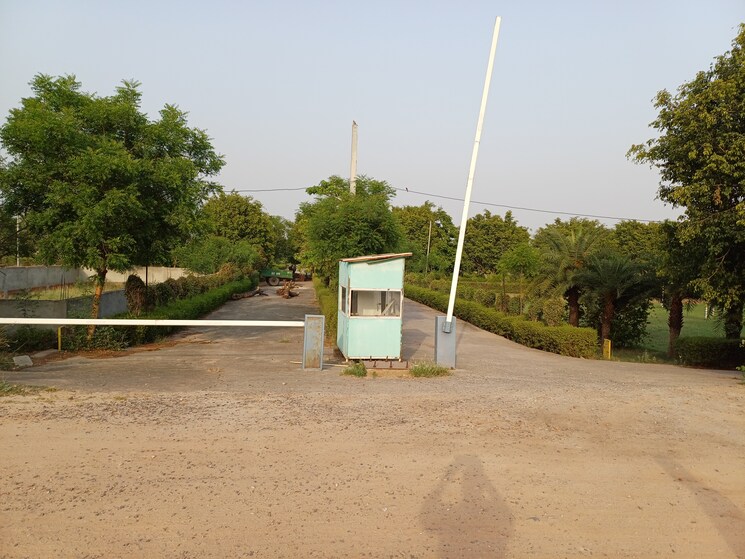 Exterior View, jewar  100 Sq.Yd. Plot In Jewar Greater Noida 8710059