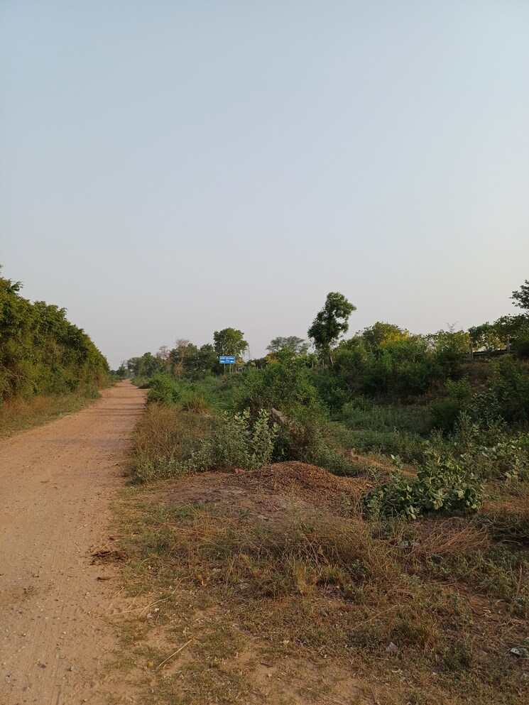 Garden, jewar  100 Sq.Yd. Plot In Jewar Greater Noida 8710059