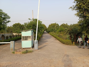  Plot For Sale in Jewar