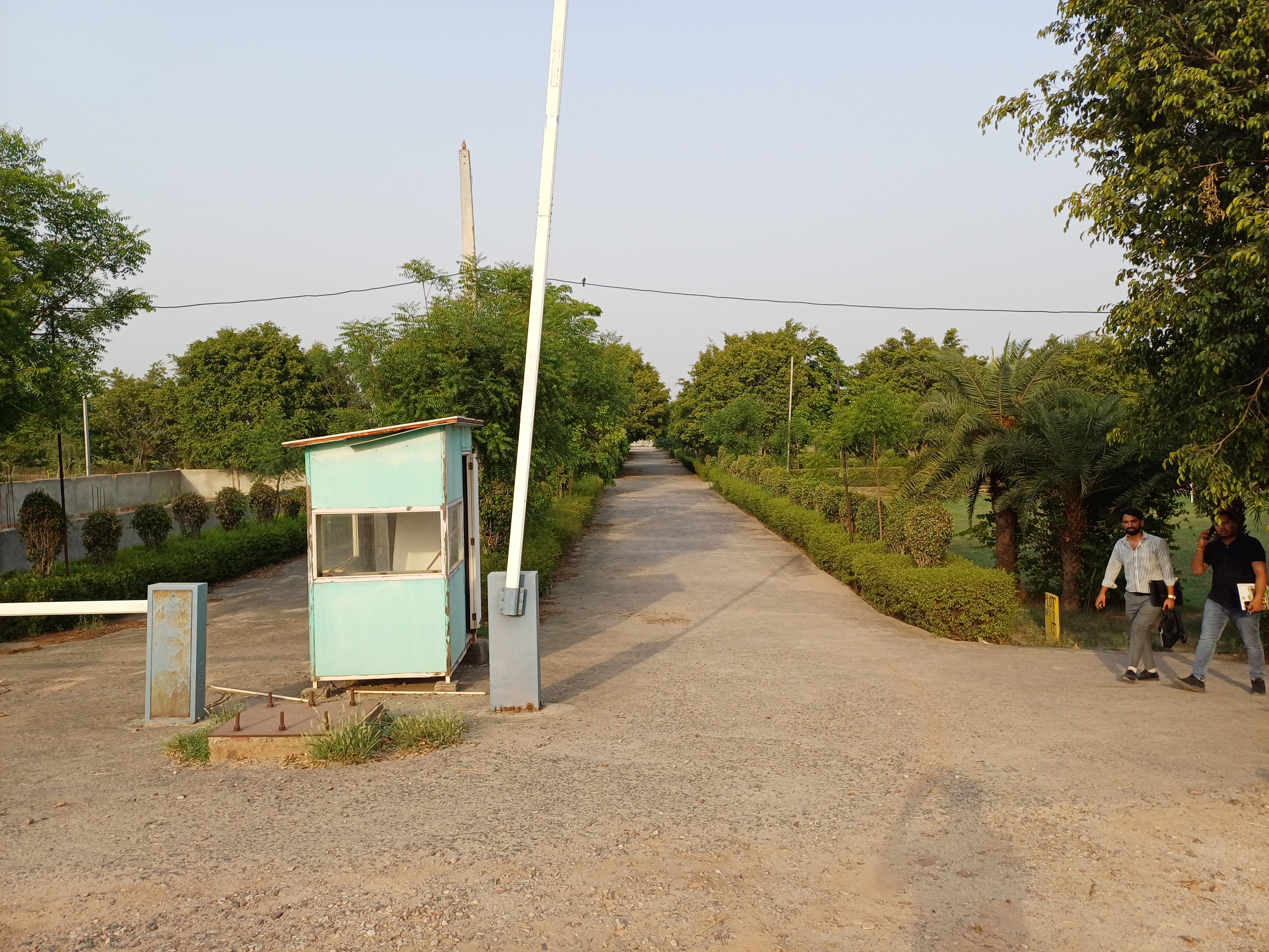 Plot For Sale in Harit City 