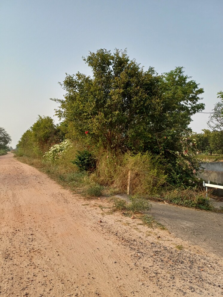 undefined, jewar  101 Sq.Yd. Plot In Jewar Greater Noida 8710075