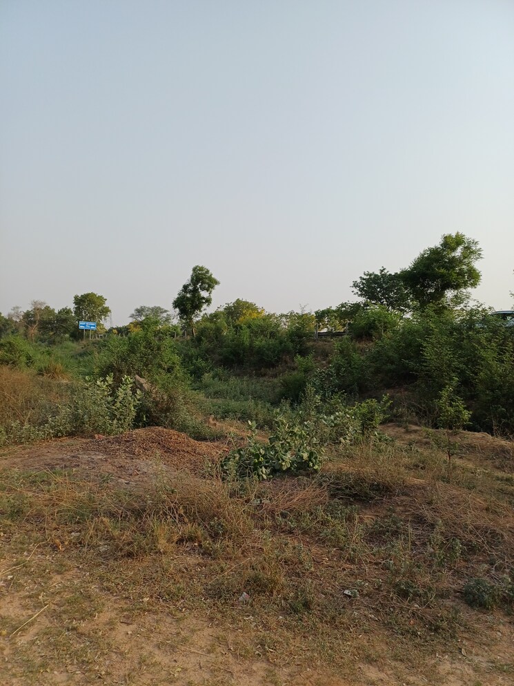 Garden, jewar  101 Sq.Yd. Plot In Jewar Greater Noida 8710075