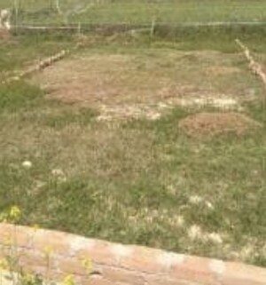  Plot For Sale in Dumas