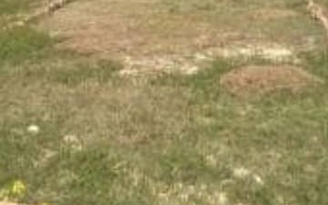 Plot For Sale in Dumas