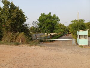  Plot For Sale in Jewar