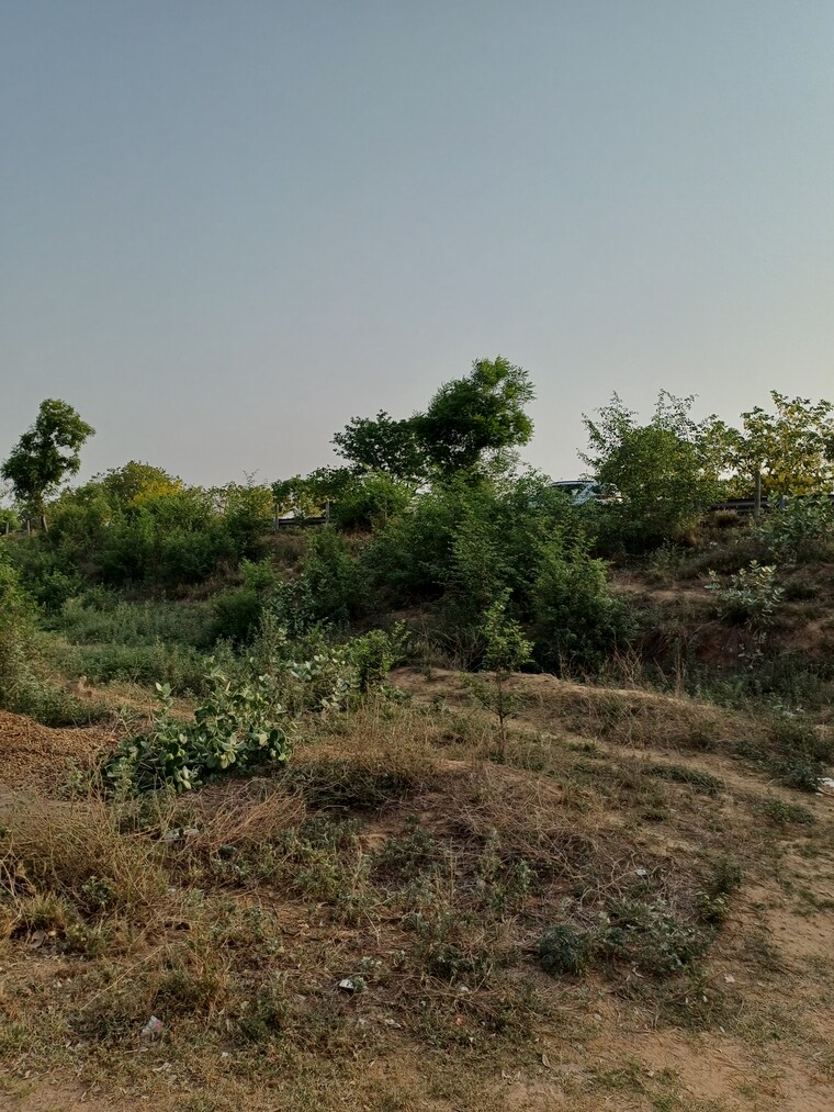 Garden, jewar  102 Sq.Yd. Plot In Jewar Greater Noida 8710184