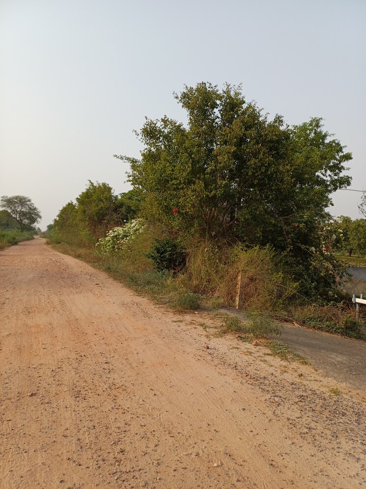 undefined, jewar  103 Sq.Yd. Plot In Jewar Greater Noida 8710216