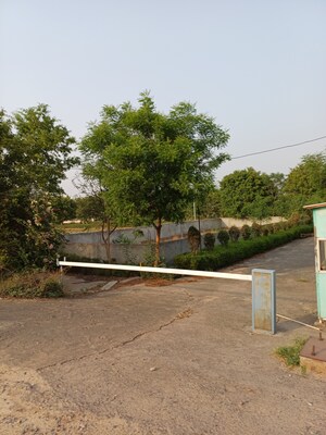  Plot – Exterior View View at Jewar - for Sale