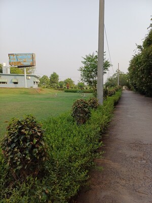  Plot For Sale in Jewar
