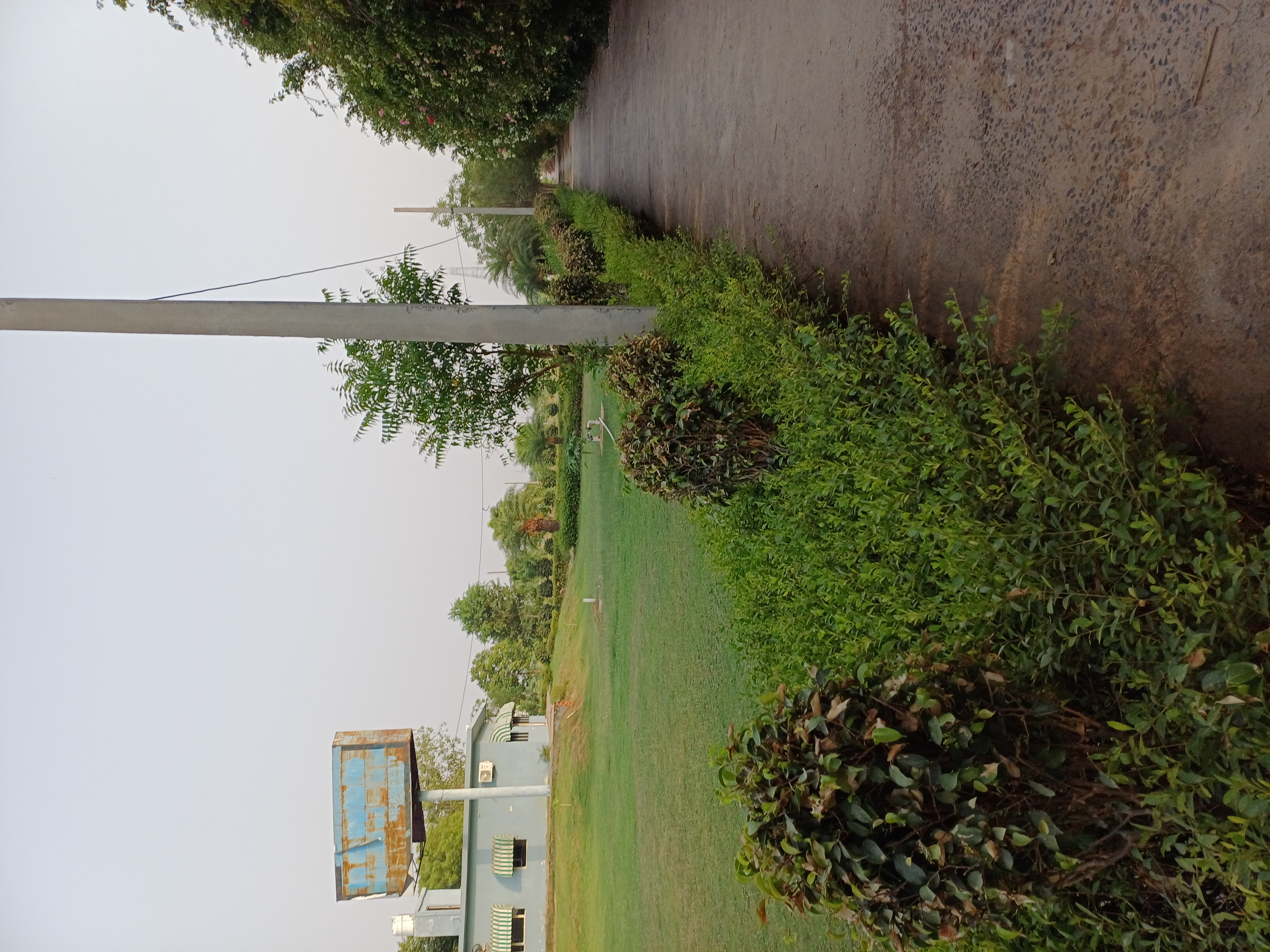 Plot For Sale in Harit City 