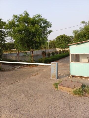  Plot For Sale in Jewar