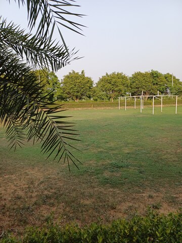  Plot – Garden View at Jewar - for Sale