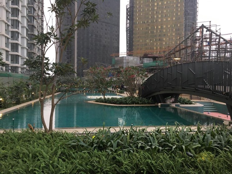 Swimming Pool, lodha-the-park 2 Bedroom 890 Sq.Ft. Apartment In Worli Mumbai 8710569