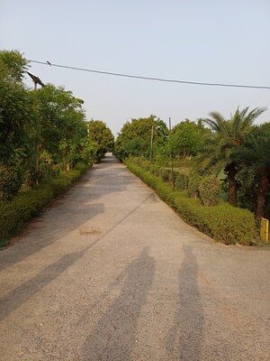  Plot For Sale in Jewar