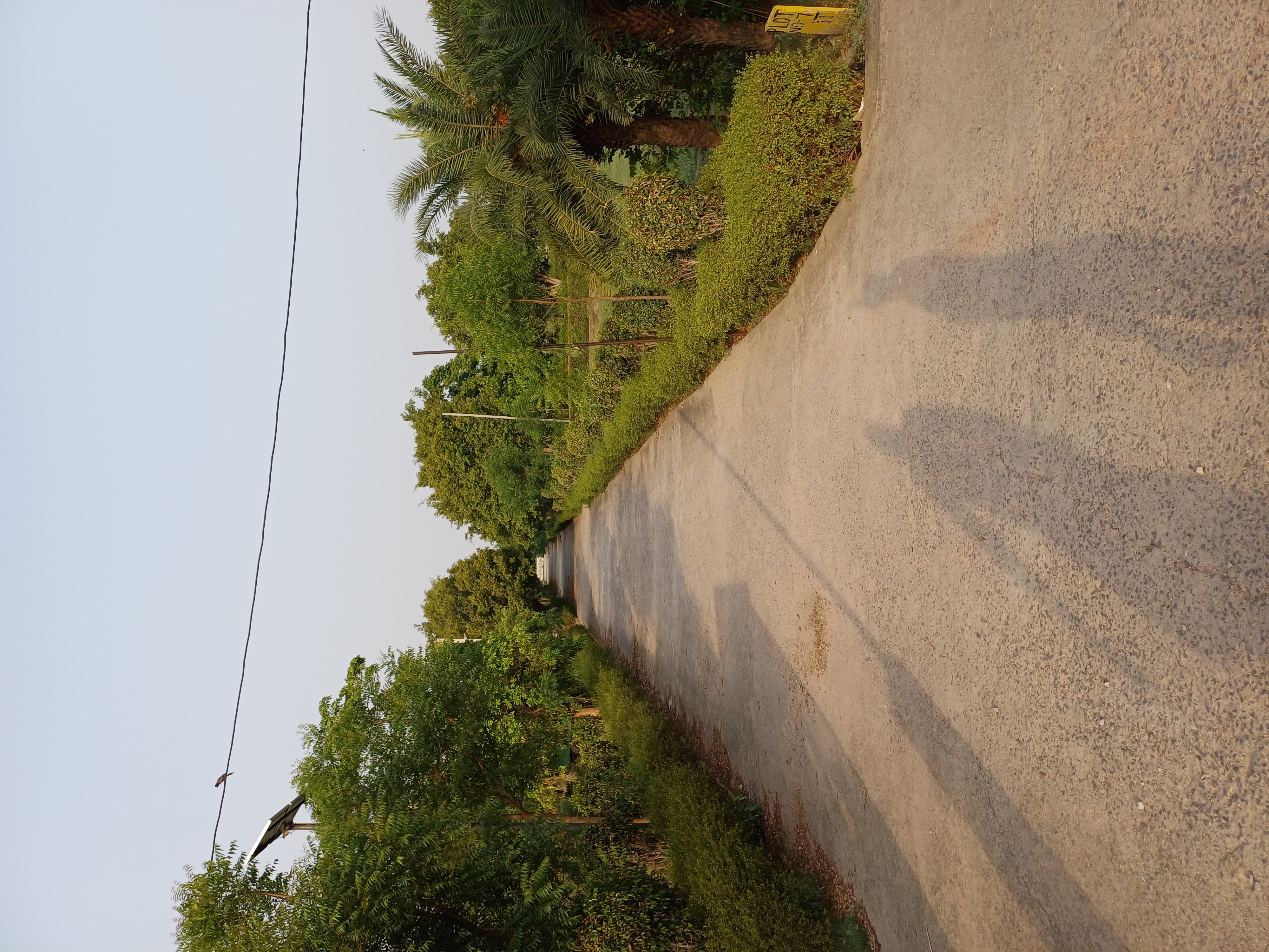 Plot For Sale in Harit City 