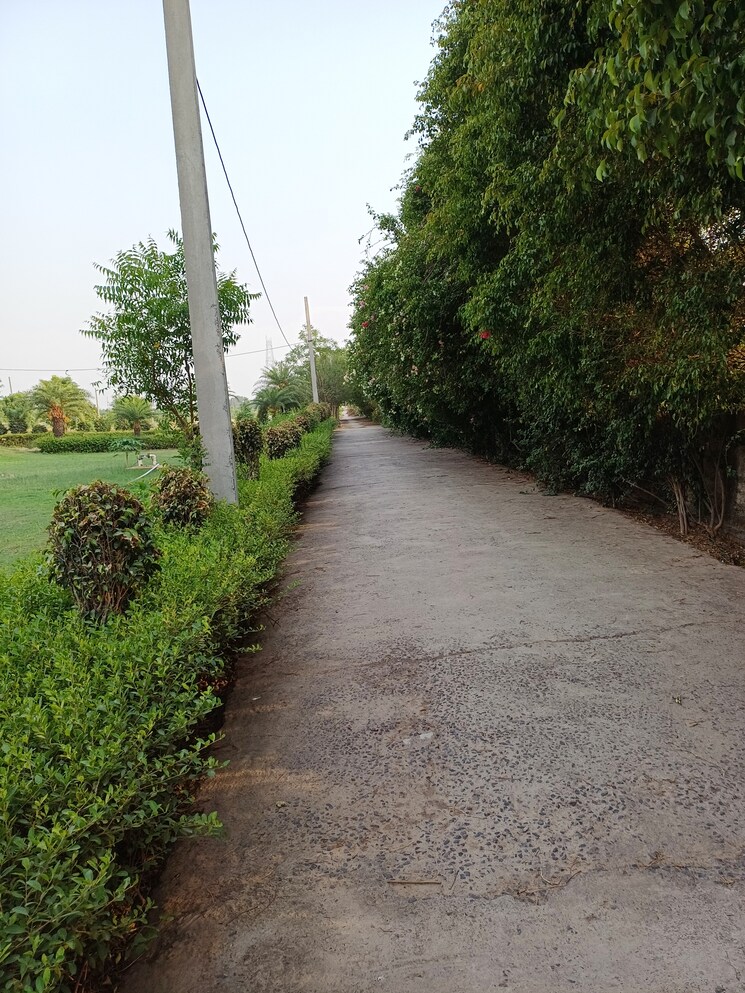 Garden, jewar  105 Sq.Yd. Plot In Jewar Greater Noida 8710638