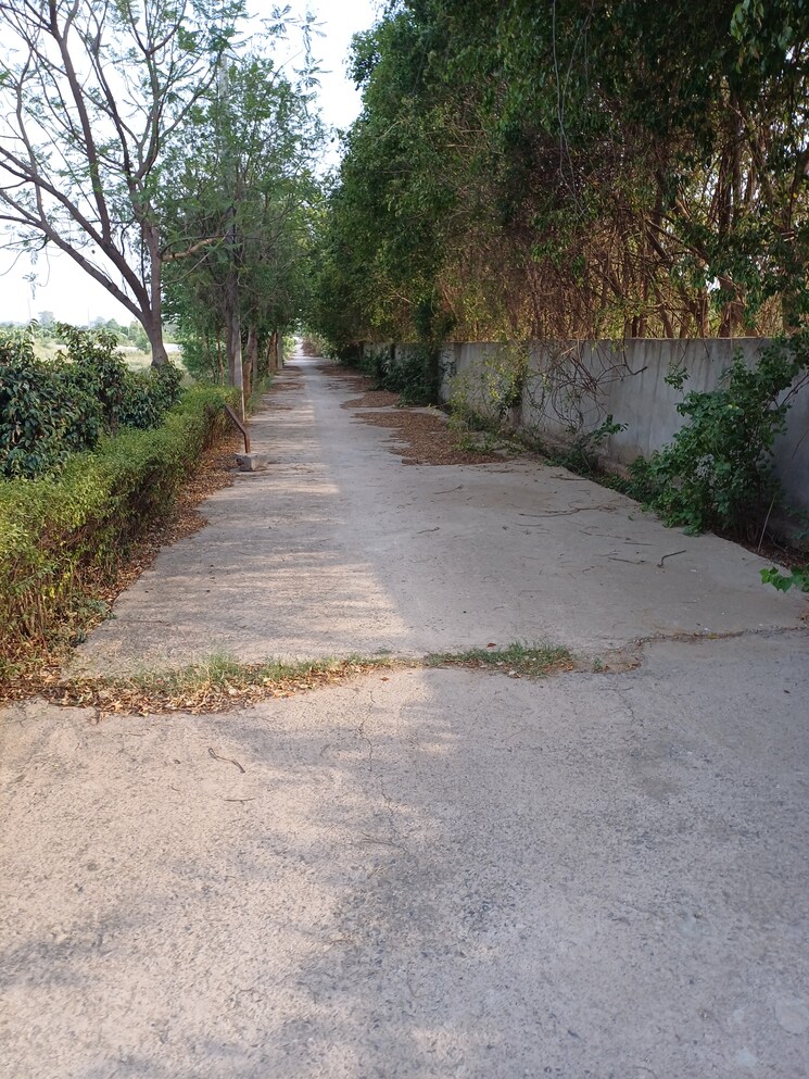 Exterior View, jewar  108 Sq.Yd. Plot In Jewar Greater Noida 8711230