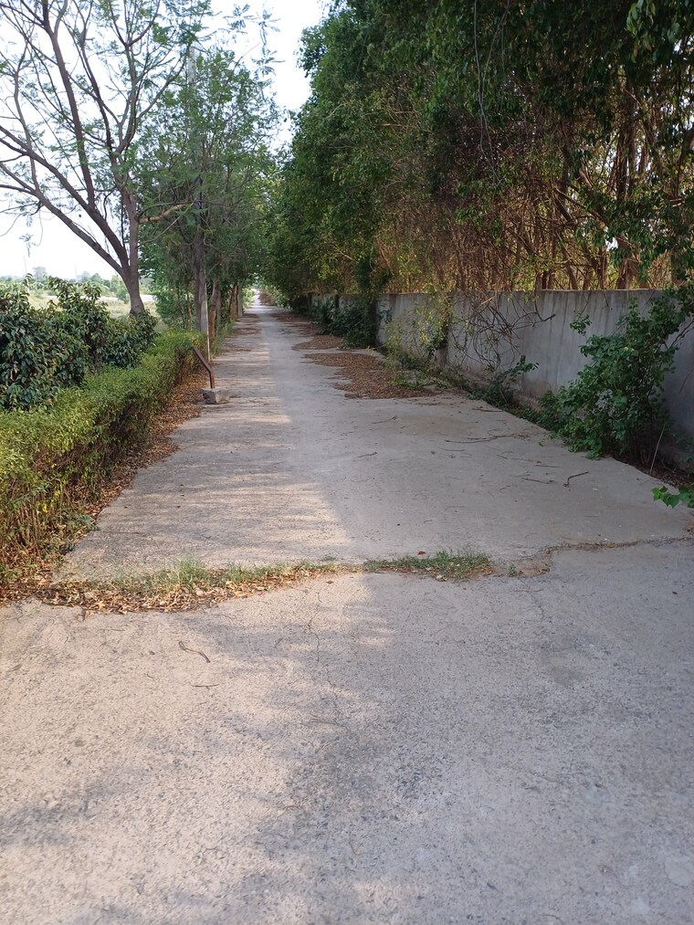 Exterior View, jewar  108 Sq.Yd. Plot In Jewar Greater Noida 8711230