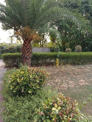  Plot – Garden View at Jewar - for Sale