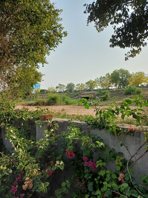  Plot – Garden View at Jewar - for Sale