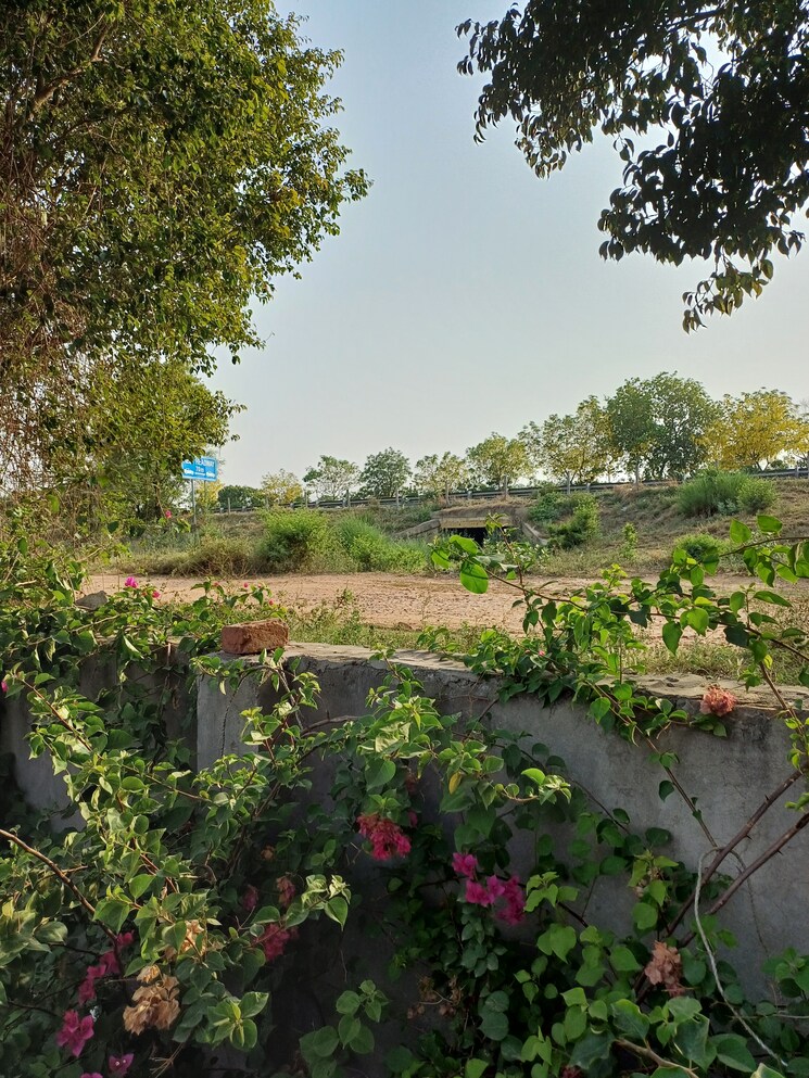 Garden, jewar  108 Sq.Yd. Plot In Jewar Greater Noida 8711230