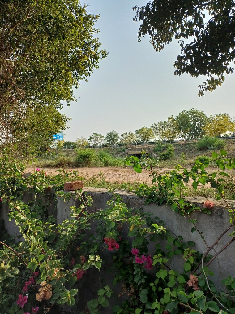 Garden, jewar  108 Sq.Yd. Plot In Jewar Greater Noida 8711230