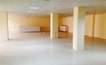 1617 Sq.Ft. Showroom in JMD Megapolis