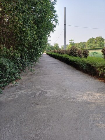  Plot – Exterior View View at Jewar - for Sale