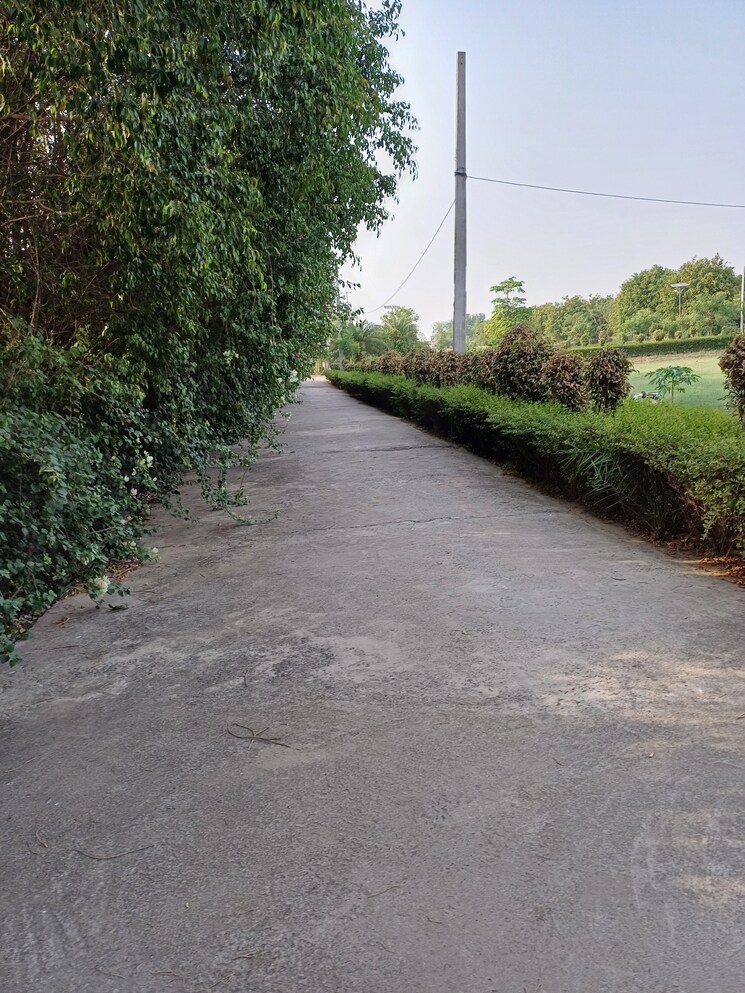 Exterior View, jewar  109 Sq.Yd. Plot In Jewar Greater Noida 8711300