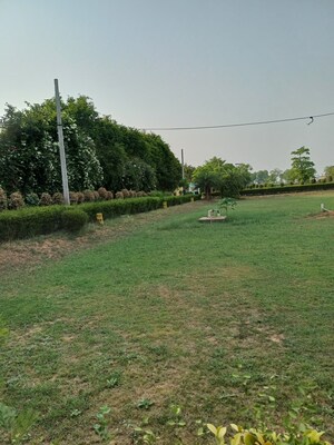  Plot For Sale in Jewar