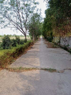  Plot – Exterior View View at Jewar - for Sale