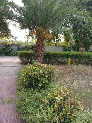  Plot – Exterior View View at Jewar - for Sale