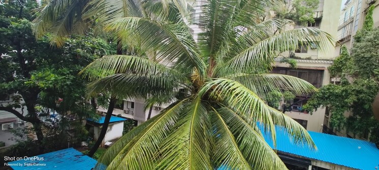 Garden, bandra west 2 Bedroom 900 Sq.Ft. Apartment In Bandra West Mumbai 8711377