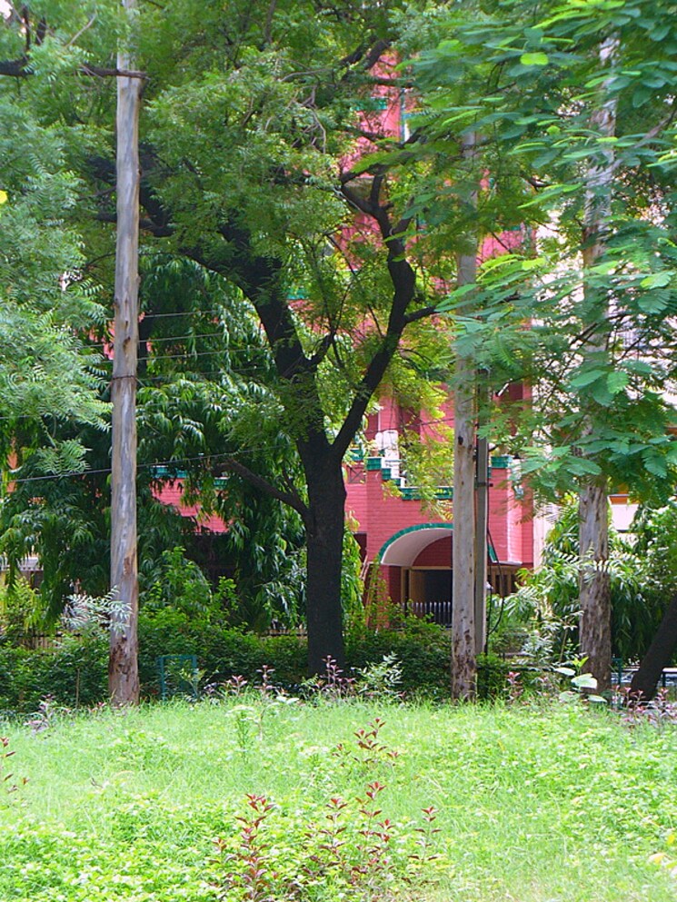 Garden, sarvapriya vihar 2 Bedroom 1350 Sq.Ft. Builder Floor In Sarvapriya Vihar Delhi 8712205