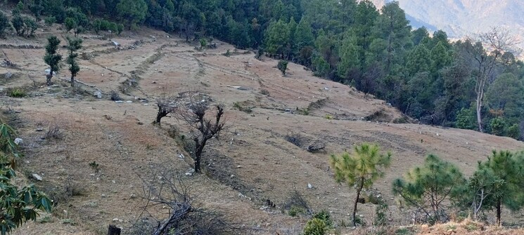 undefined, sector 42  330 Sq.Yd. Plot In Sector 42 Gurgaon 8712735