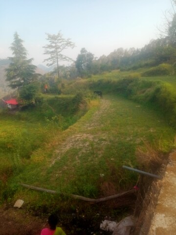  Plot – Exterior View View at Bhimtal - for Sale