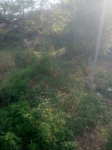  Plot – Exterior View View at Bhimtal - for Sale