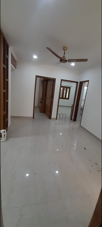 Room in 3 BHK Builder Floor at Pamposh Enclave – for Rent
