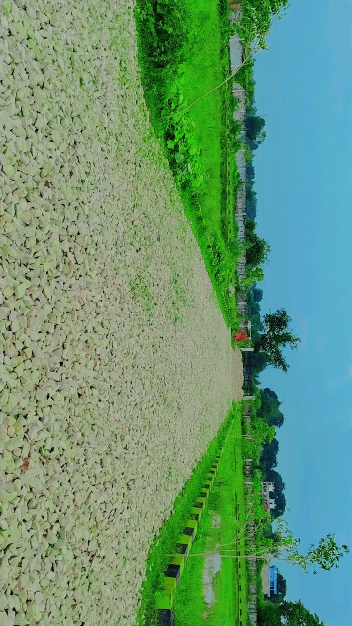 Plot For Sale in Sultanpur Road