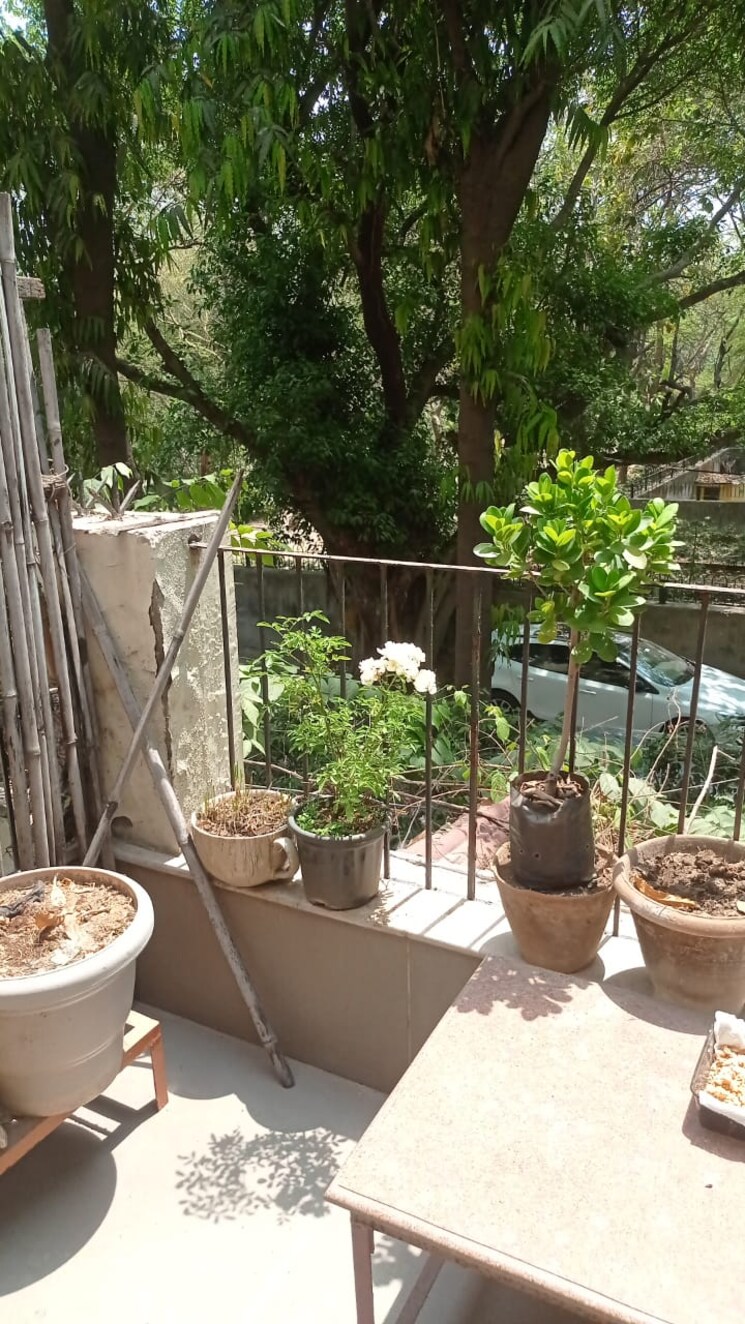 Balcony, panchsheel enclave 3 Bedroom 1400 Sq.Ft. Apartment In Panchsheel Enclave Delhi 8714677